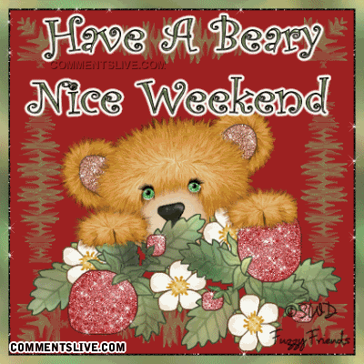 weekend-beary-nice-1.gif