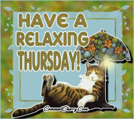 pat041208thursday7.gif