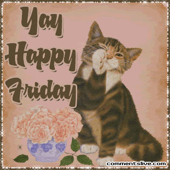 cat-yay-friday.gif