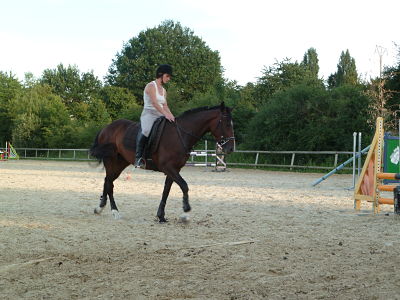 P1000294_opt.jpg