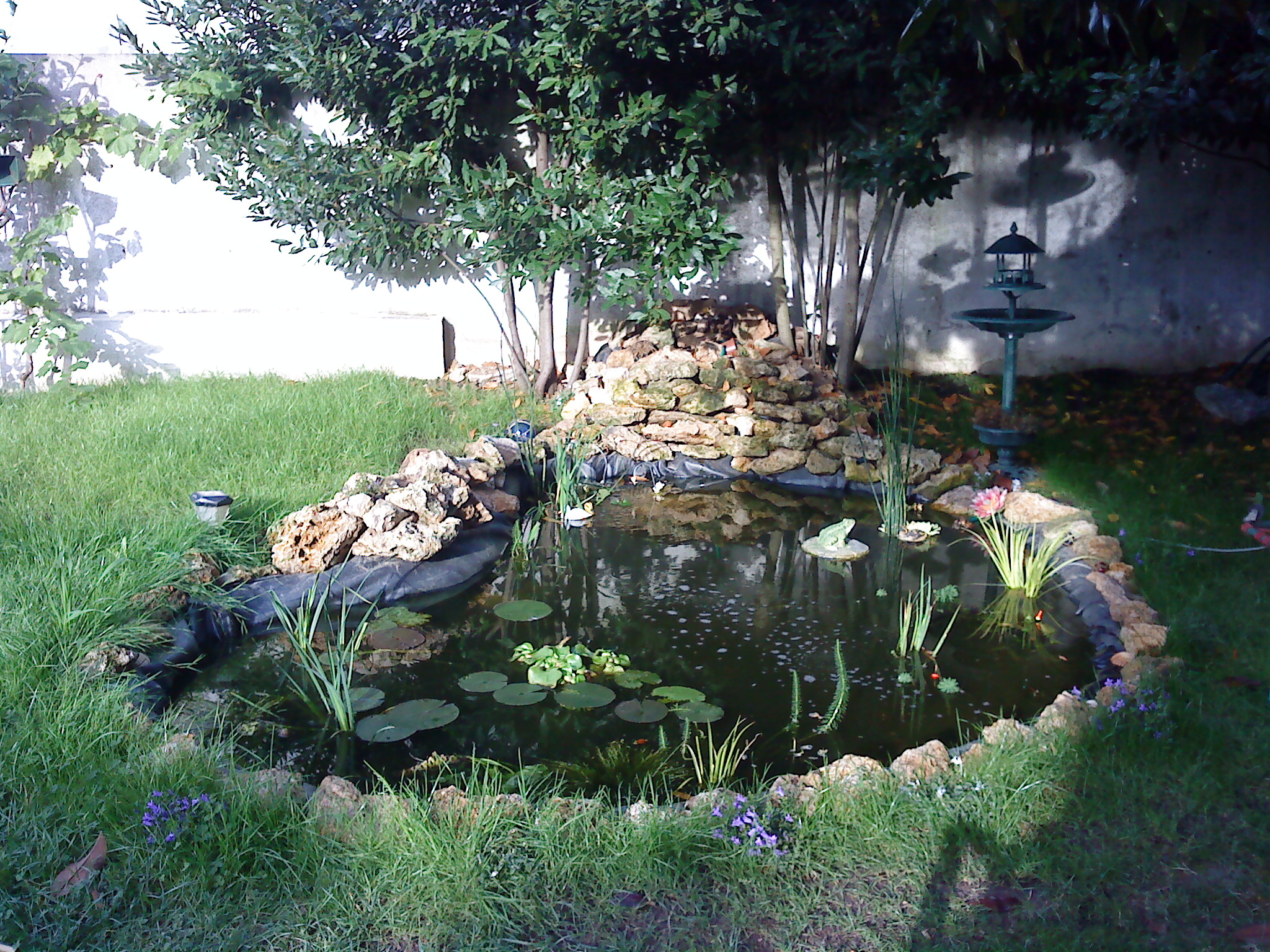 DSC04156.JPG