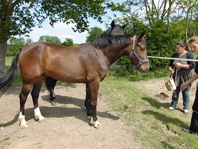CIMG1212_opt.jpg
