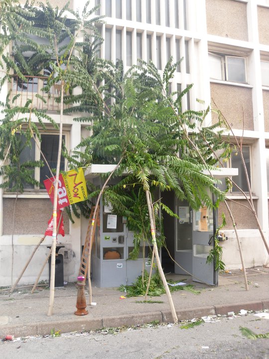 fransisca gallery