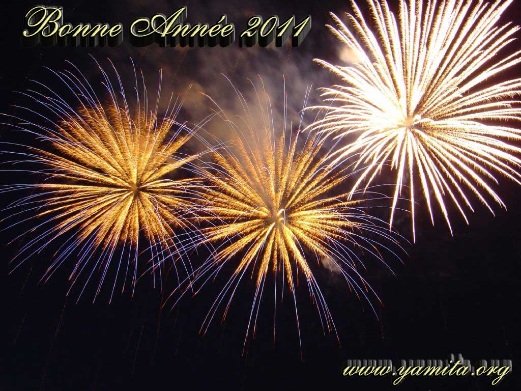 Bonne_Ann_e_2011.jpg