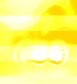 gold2.jpg