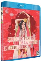 youth-litterature_film2-blu-ray_m.jpg
