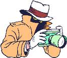 imagesCA8VWTJU.jpg