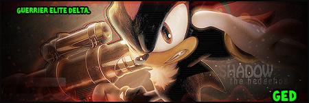 Shadow_The_Hedgehog_Signature_by_HishyDatDon.png