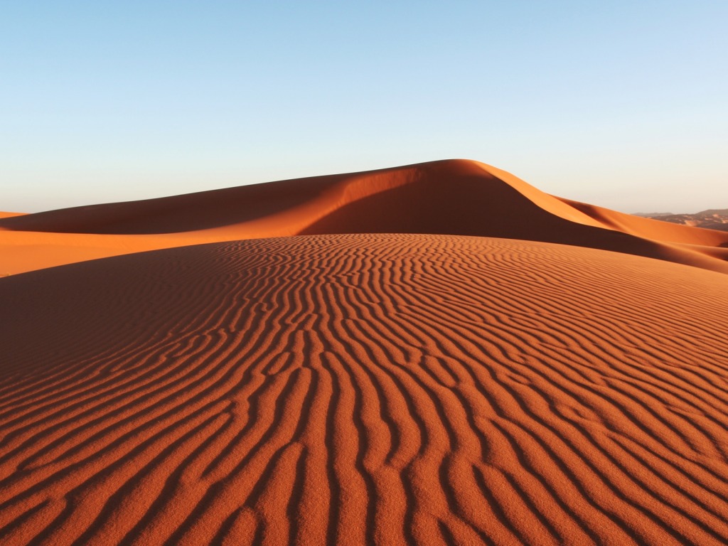 sable1.jpg