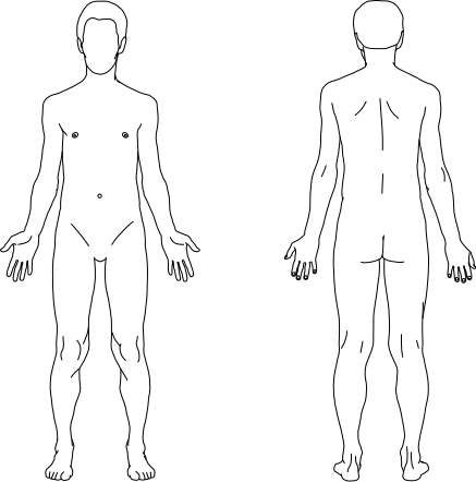 Silhouette_humain_asexue_anterieur_posterieur.svg.png