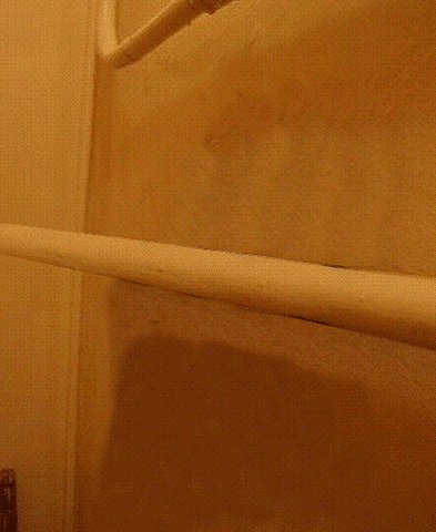 0e6f53143a07f768bcfabb27d1e910504e63ac81_m.gif
