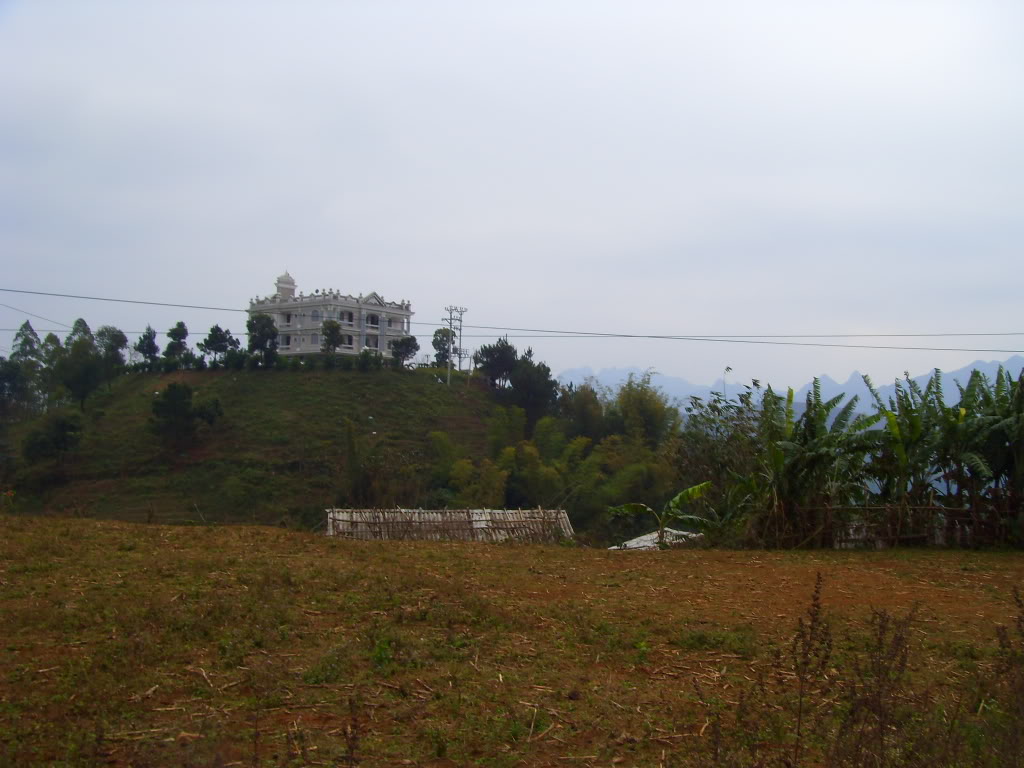 fransisca gallery