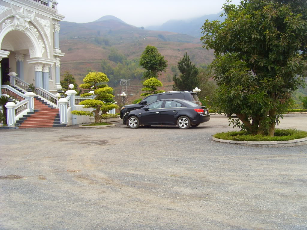 fransisca gallery