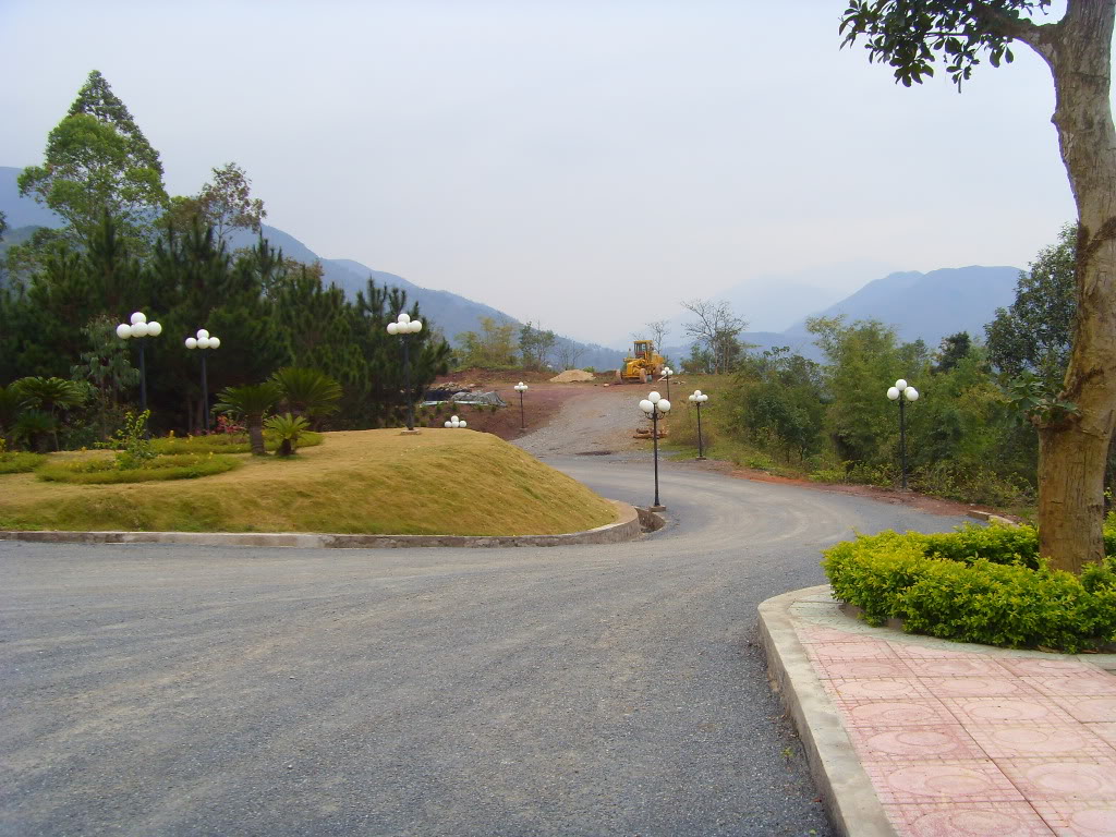 fransisca gallery